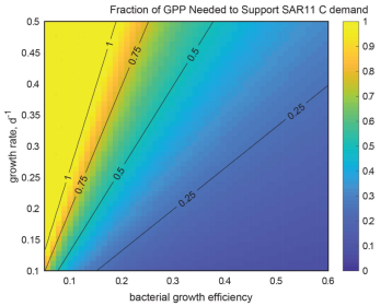 Graph showing the fraction of Gross Primary Production needed to support SAR11 carbon demand over a range of assumed bacterial growth efficiencies and specific growth rates.